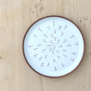 velký talíř krokus